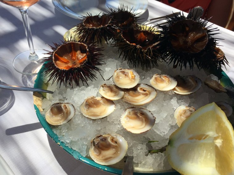 amalfi-coast-clams-and-sea-urchin-at-lo-scoglio.jpg