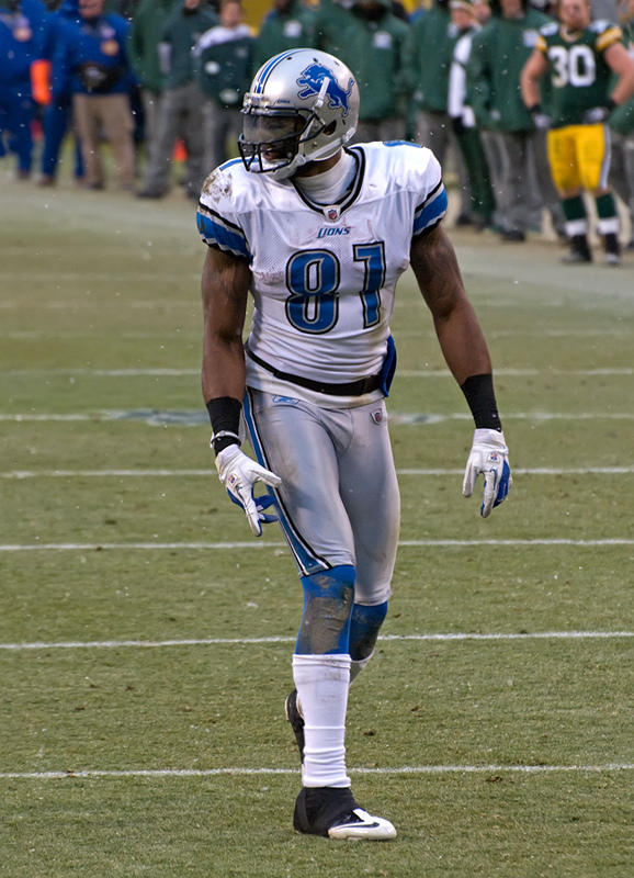 calvin-johnson-lions-2015.jpg