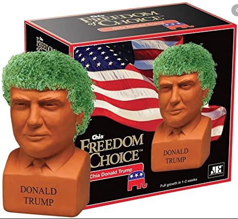 Chia Pet -Donald Trump.JPG