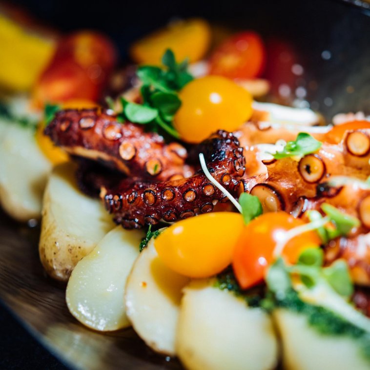 Grilled Octopus Salad Damas.jpg