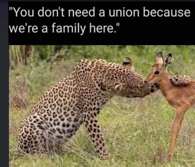 GXFuJa.jpg