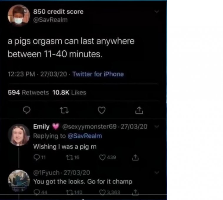 Meme-21-pigs orgasm for 40 minutes-pre crpd.jpg