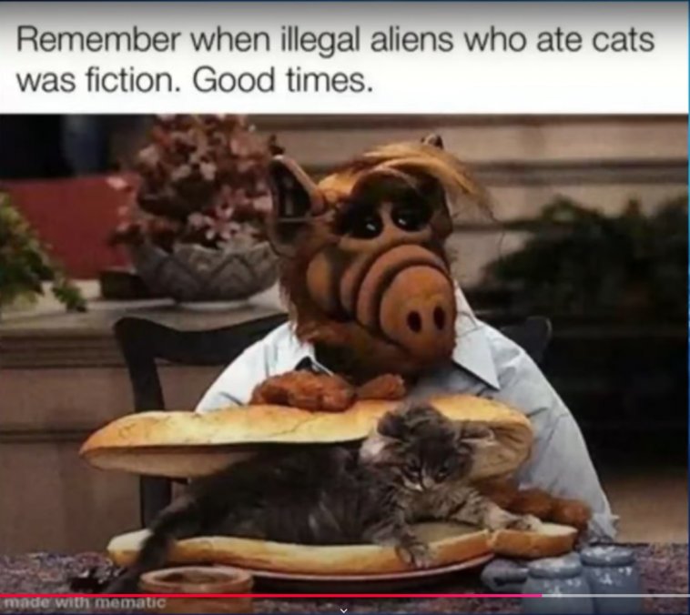 Meme-40-Alf eating cat-pre crpd.jpg